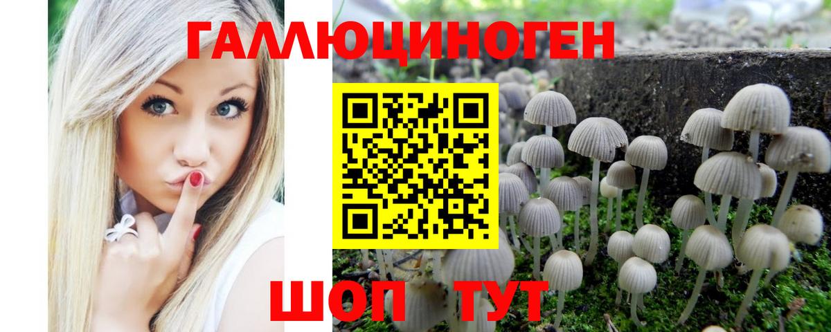 Псилоцибиновые грибы GOLDEN TEACHER Ростов Великий