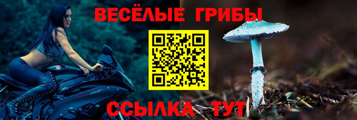 Галлюциногенные грибы прущие грибы  Галлюциногенные грибы мицелий  Вход с VPN  Ростов Великий 