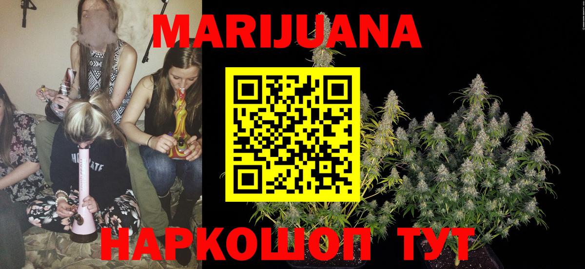 Канабис семена Ростов Великий